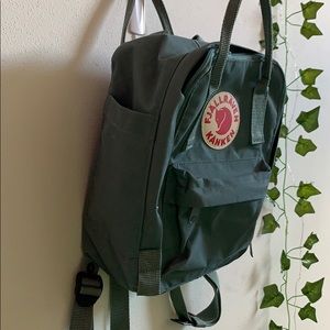 MINI FJALLRAVEN KANKEN IN FROST